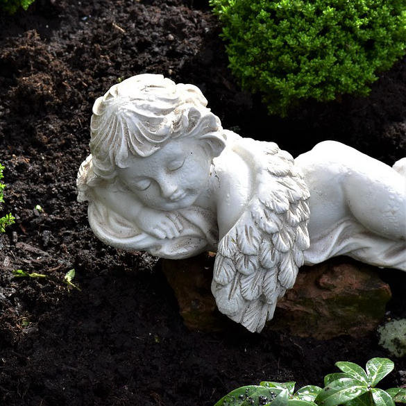 Bild zu Abschied in Liebe und Würde gestalten